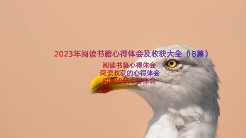 2023年阅读书籍心得体会及收获大全（18篇）