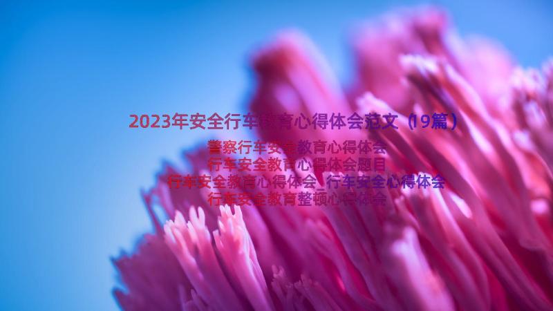 2023年安全行车教育心得体会范文（19篇）