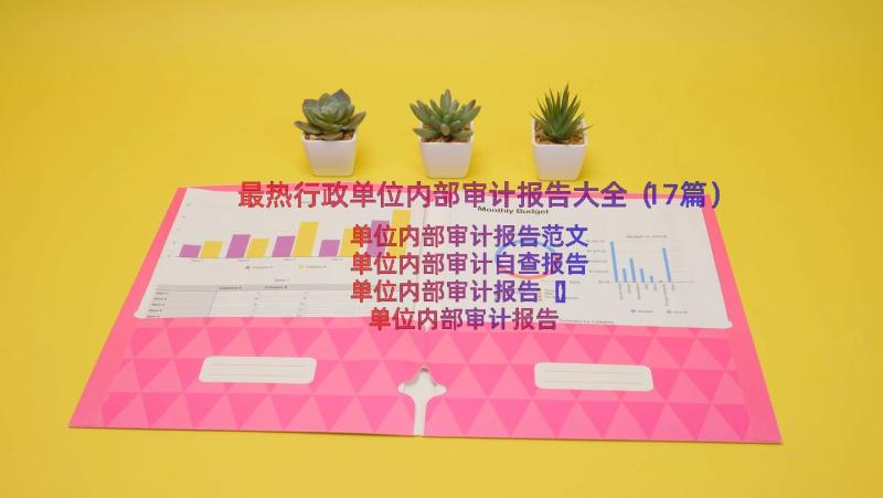 最热行政单位内部审计报告大全（17篇）