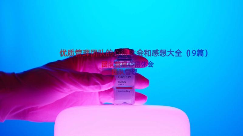 优质管理团队的心得体会和感想大全（19篇）