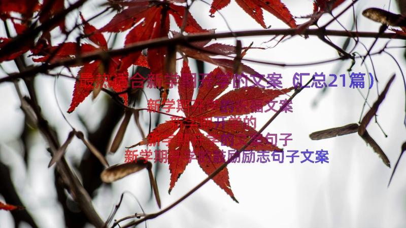 最热适合新学期开学的文案（汇总21篇）