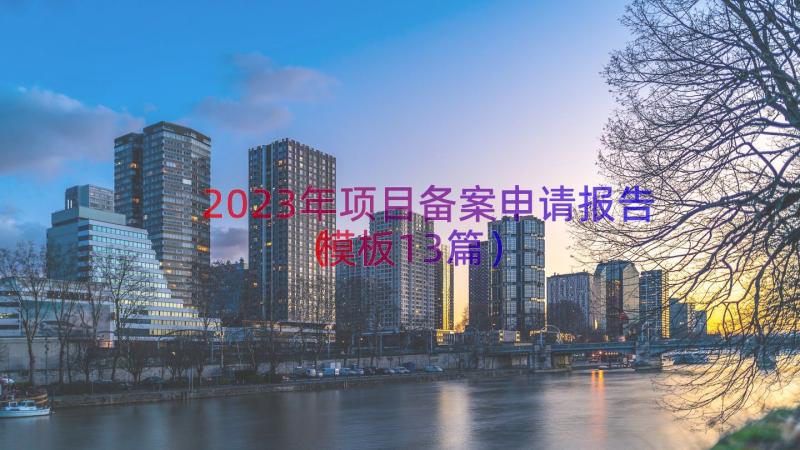 2023年项目备案申请报告（模板13篇）