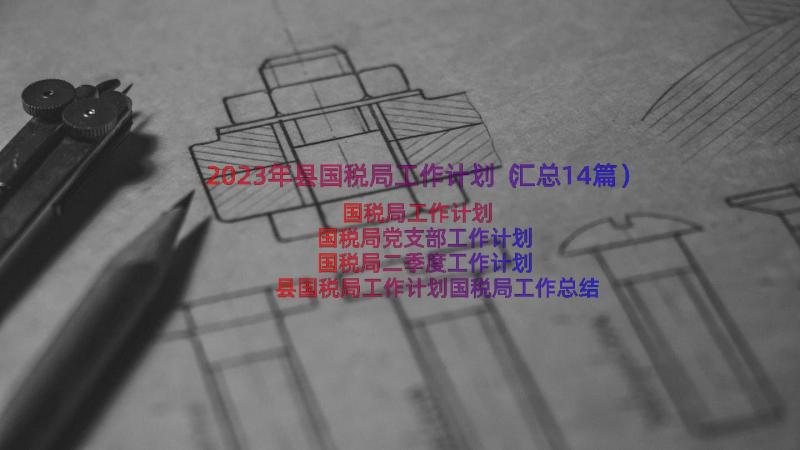 2023年县国税局工作计划（汇总14篇）