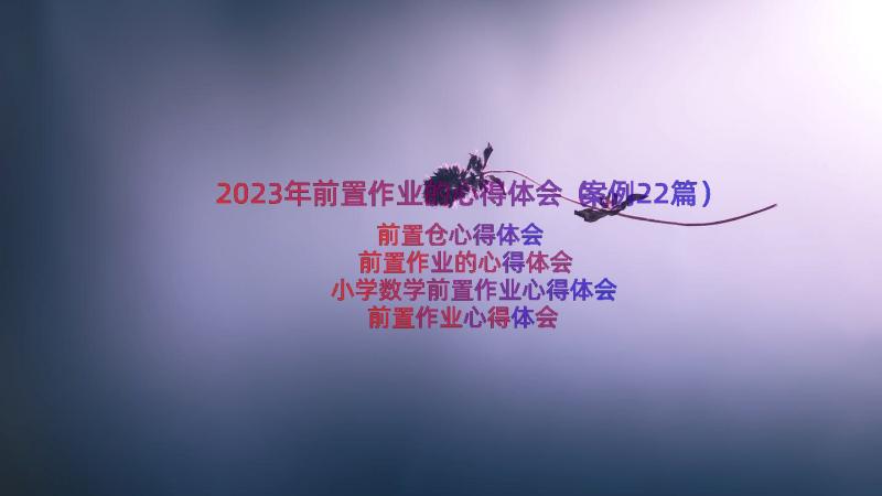 2023年前置作业的心得体会（案例22篇）