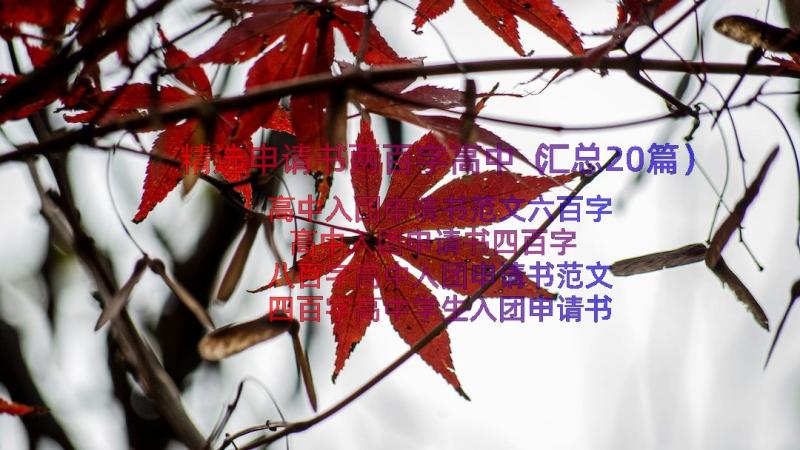 精选申请书两百字高中（汇总20篇）