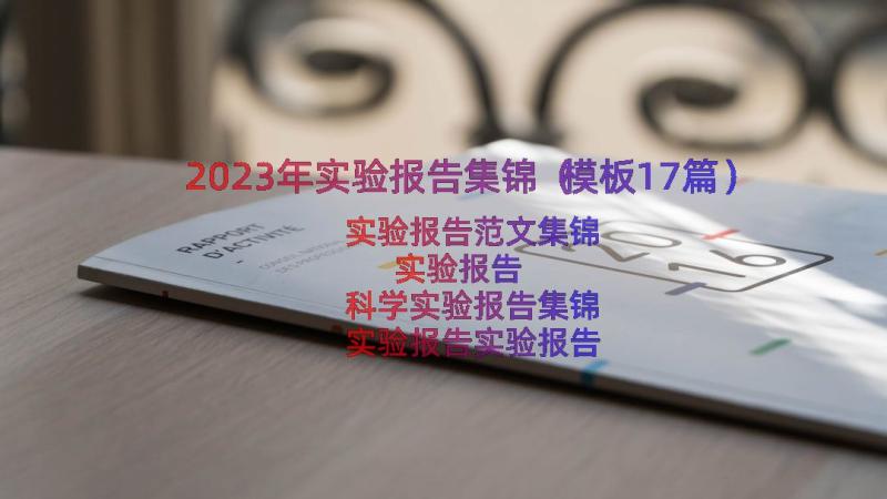 2023年实验报告集锦（模板17篇）