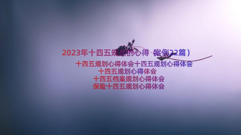 2023年十四五规划的心得（案例22篇）