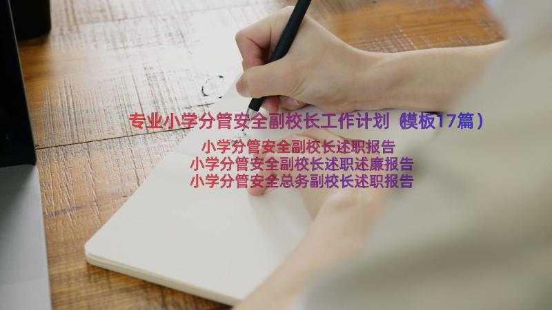 专业小学分管安全副校长工作计划（模板17篇）