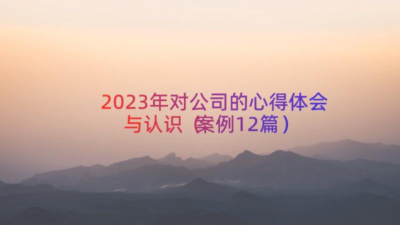 2023年对公司的心得体会与认识（案例12篇）