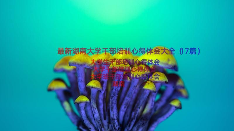 最新湖南大学干部培训心得体会大全（17篇）