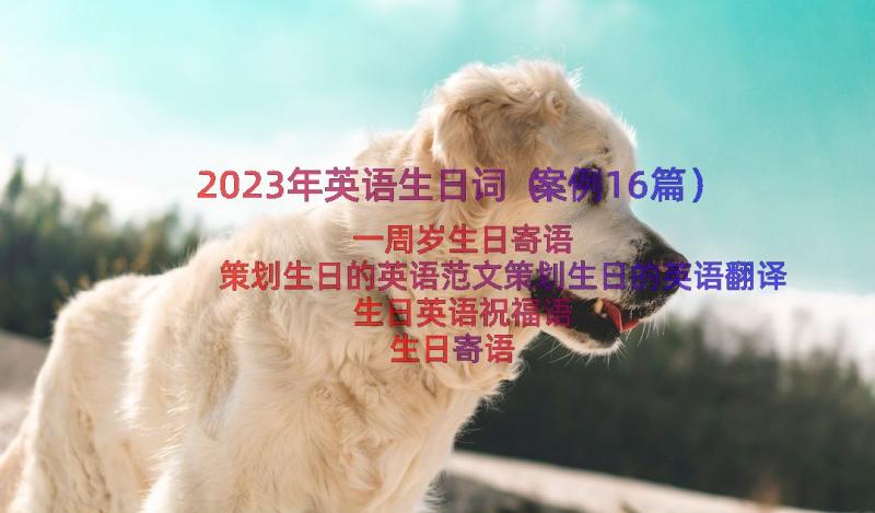 2023年英语生日词（案例16篇）