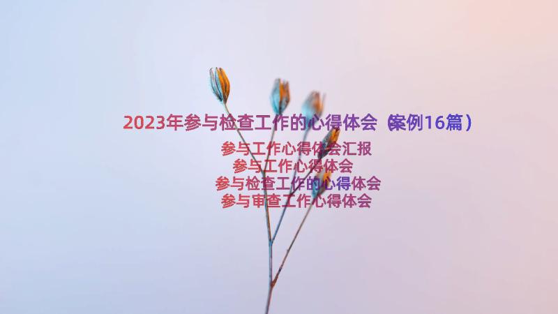 2023年参与检查工作的心得体会（案例16篇）