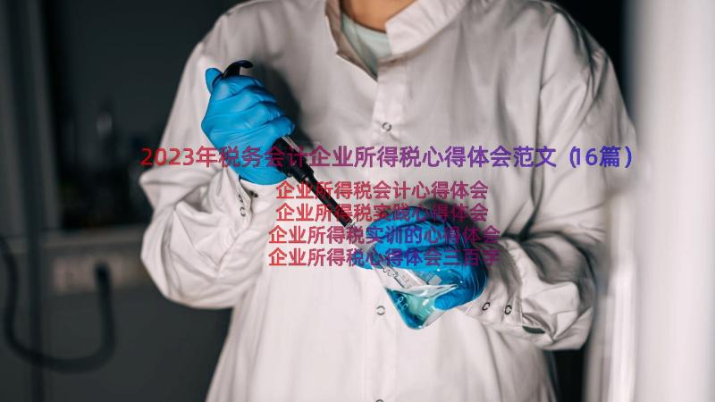 2023年税务会计企业所得税心得体会范文（16篇）