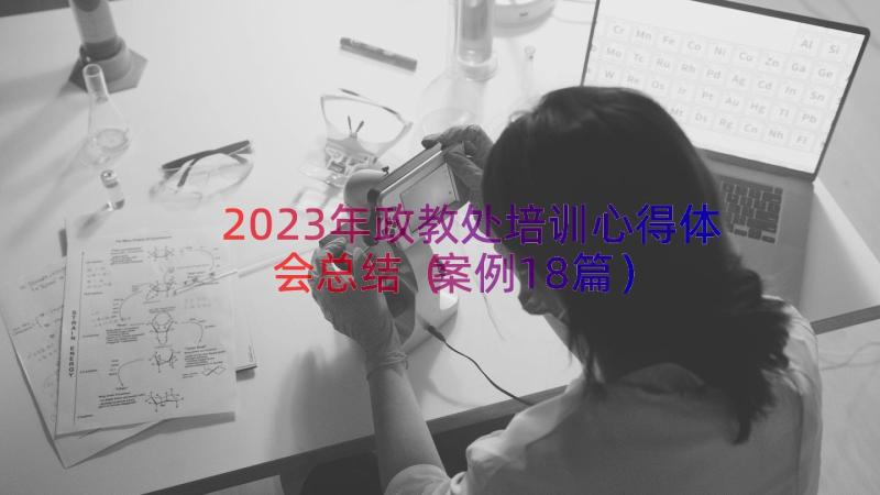 2023年政教处培训心得体会总结（案例18篇）