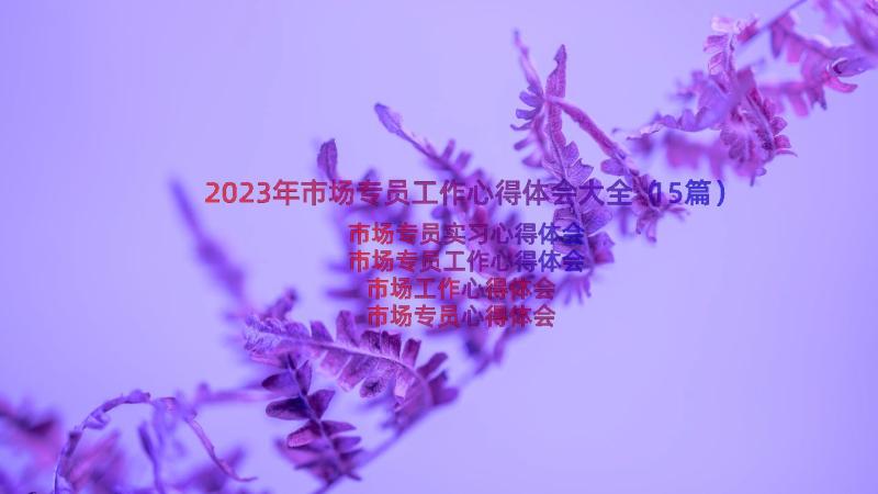 2023年市场专员工作心得体会大全（15篇）