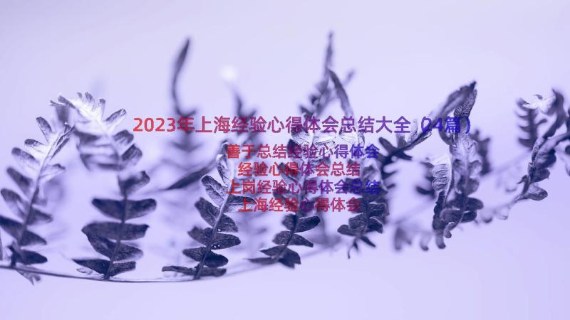 2023年上海经验心得体会总结大全（24篇）