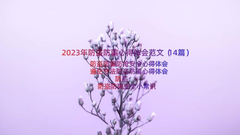 2023年防盗防骗心得体会范文（14篇）