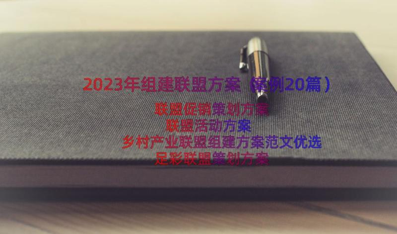 2023年组建联盟方案（案例20篇）