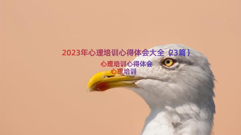 2023年心理培训心得体会大全（23篇）