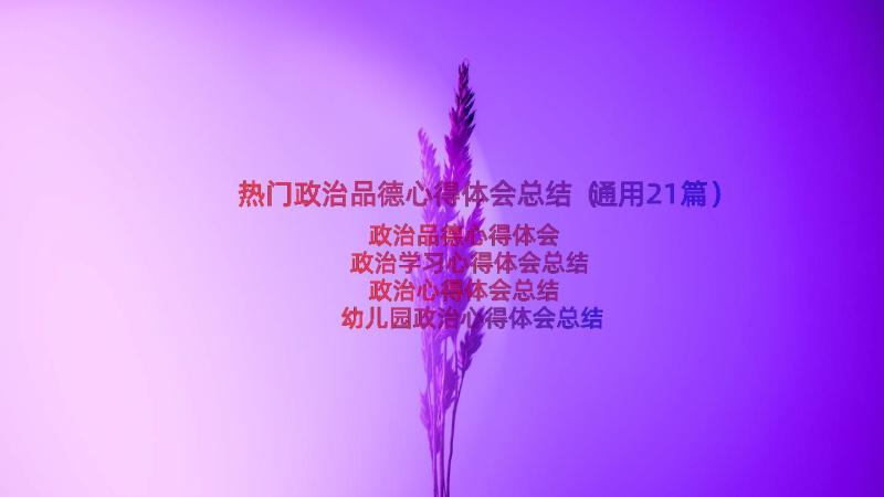 热门政治品德心得体会总结（通用21篇）