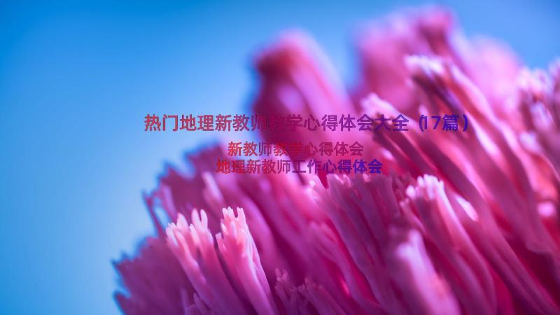 热门地理新教师教学心得体会大全（17篇）