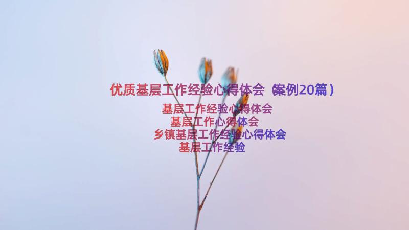 优质基层工作经验心得体会（案例20篇）