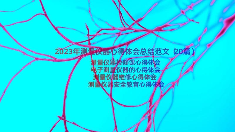 2023年测量仪器心得体会总结范文（20篇）