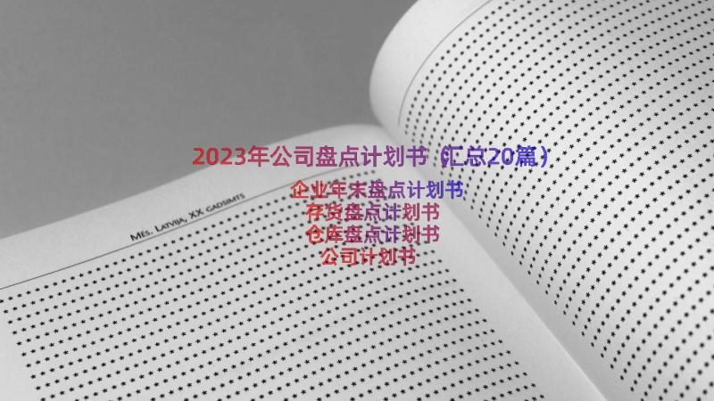 2023年公司盘点计划书（汇总20篇）