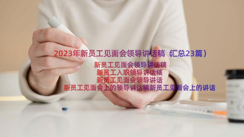 2023年新员工见面会领导讲话稿（汇总23篇）