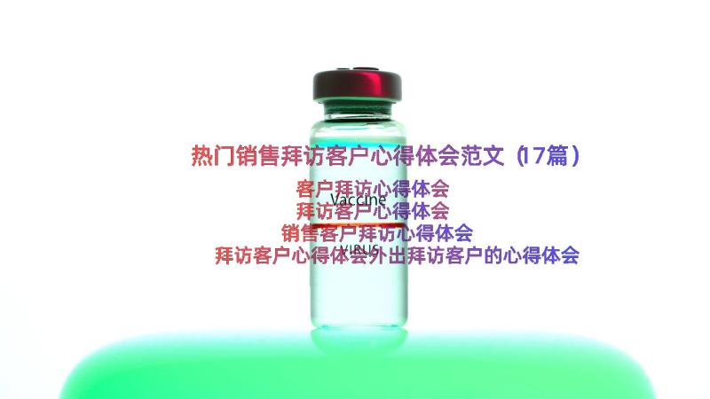 热门销售拜访客户心得体会范文（17篇）