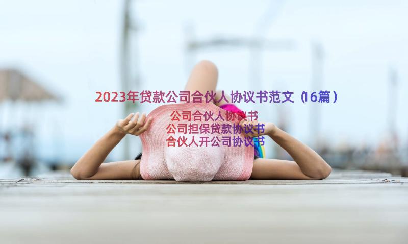 2023年贷款公司合伙人协议书范文（16篇）