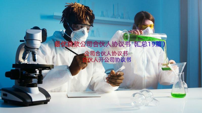 最优贷款公司合伙人协议书（汇总19篇）