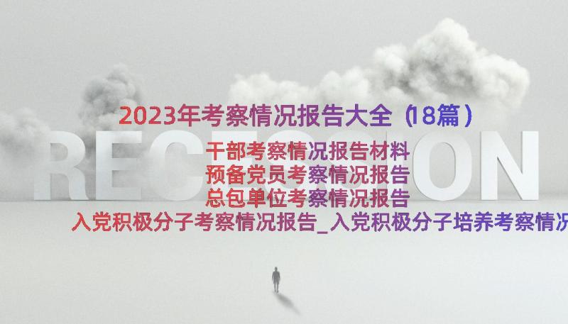 2023年考察情况报告大全（18篇）