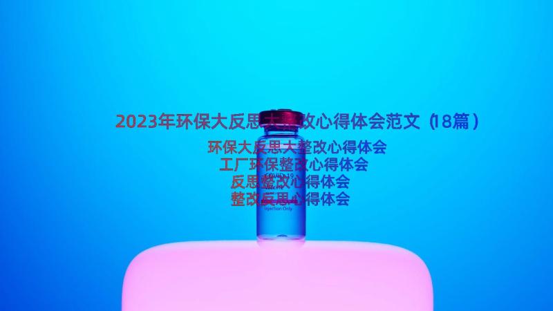 2023年环保大反思大整改心得体会范文（18篇）