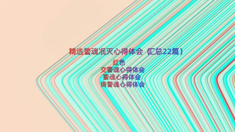 精选警魂冺灭心得体会（汇总22篇）