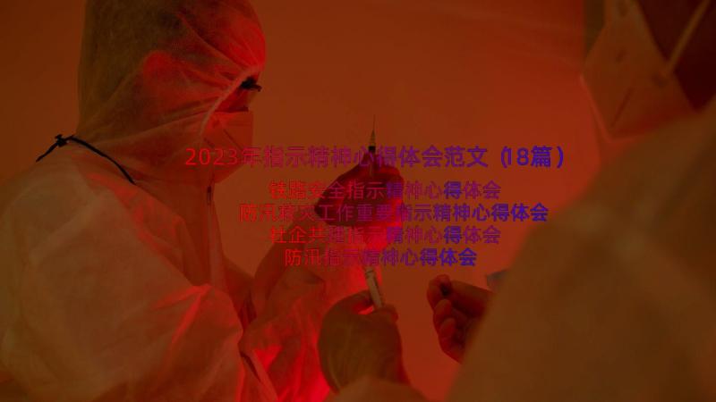 2023年指示精神心得体会范文（18篇）