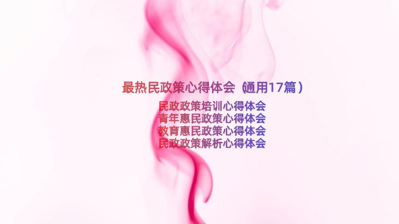 最热民政策心得体会（通用17篇）