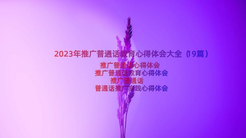 2023年推广普通话教育心得体会大全（19篇）