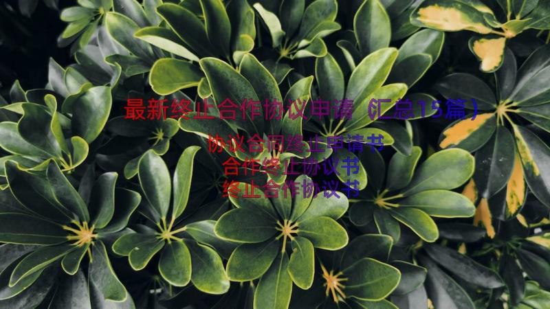 最新终止合作协议申请（汇总15篇）