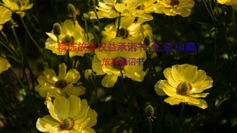 精选放弃权益承诺书（汇总14篇）