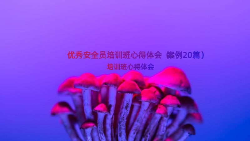 优秀安全员培训班心得体会（案例20篇）