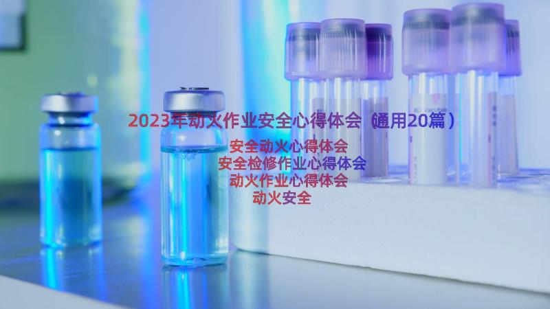 2023年动火作业安全心得体会（通用20篇）