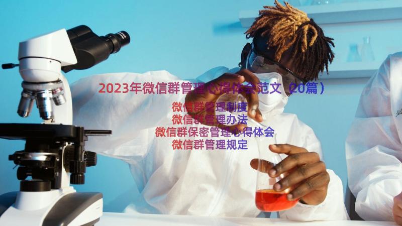 2023年微信群管理心得体会范文（20篇）