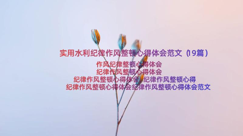 实用水利纪律作风整顿心得体会范文（19篇）