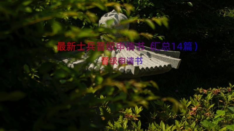 最新士兵晋级申请书（汇总14篇）