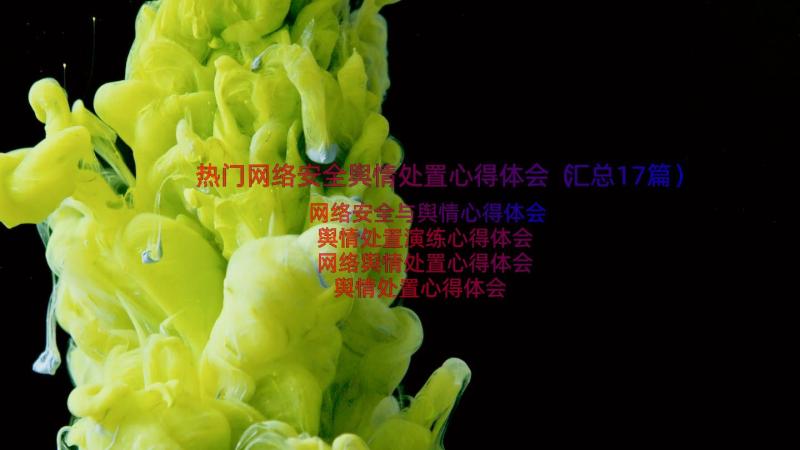 热门网络安全舆情处置心得体会（汇总17篇）