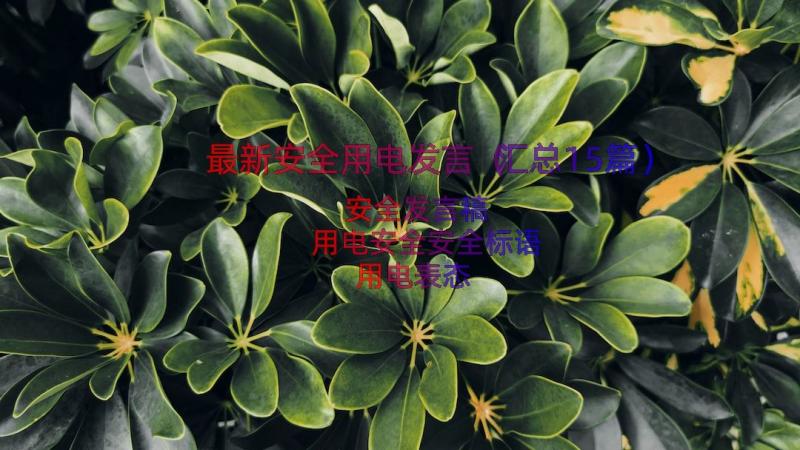 最新安全用电发言（汇总15篇）