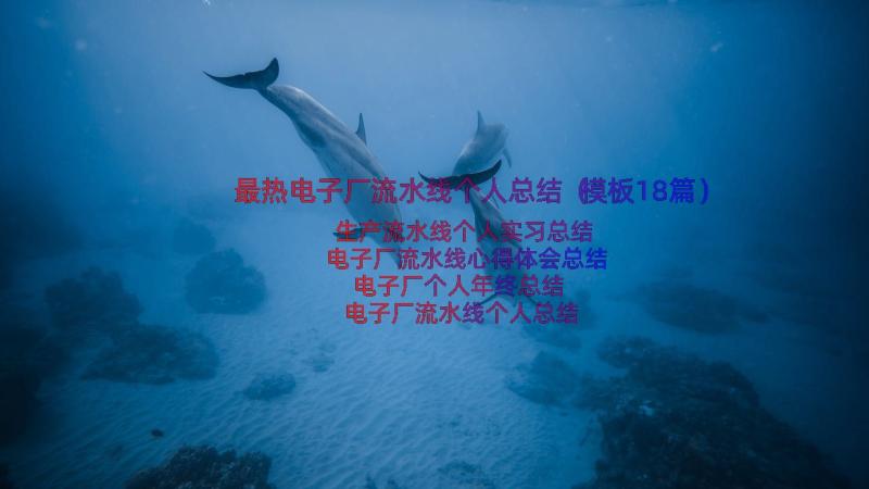 最热电子厂流水线个人总结（模板18篇）