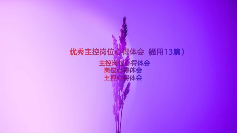 优秀主控岗位心得体会（通用13篇）