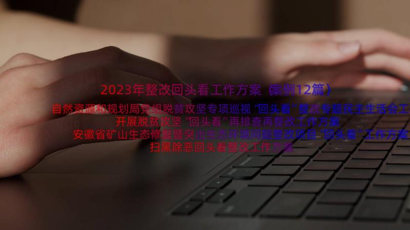 2023年整改回头看工作方案（案例12篇）